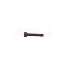 Socket screw