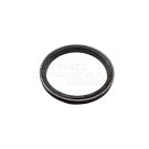 Pečetní prsten 54/13-707