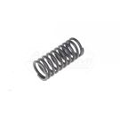 Valve spring