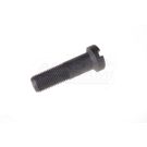 Plate wheel bolt