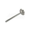 Exhaust valve