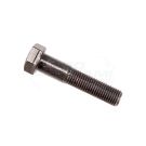 Body screw