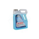 Orlen windshield washer fluid 5L