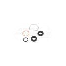 Pump repair kit 21/411-30