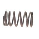 Valve spring 21/45-22