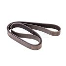 Ceinture 8PK1509