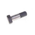 Scabbard screw