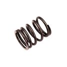 Valve spring 30/45-61