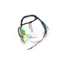 Dashboard Wiring Harness Zetor Expom Kwidzyn 60115608EX