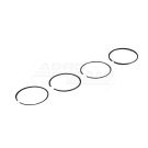 Set of rings.Fi-101mm