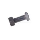 Screw + 2-nose nut, class 10.9