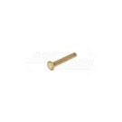 Brass rivet