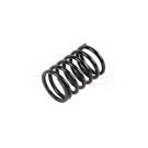 Valve spring