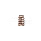 Valve spring.30/45-606