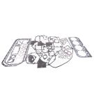 Set of engine gaskets 26/70-305