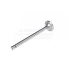 Exhaust valve