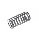 Valve spring