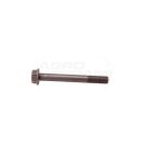 PERKINS-KOPFSCHRAUBE 1/2''X108MM (12 STÜCK PRO KOPF) PERKINS-SERIE 1000