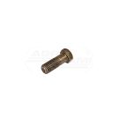 Flywheel bolt