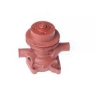 Water pump 79010615 FI117