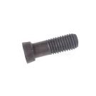 OVAL plow screw