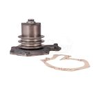 Water Pump With Pulley B110724