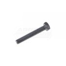 Pump short screw 5/16/x2