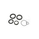 Set of gaskets for the Bizon-056 power steering system