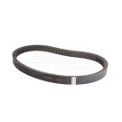 HARVEST CL-6295801 toothed V-belt