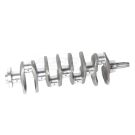 Crankshaft 40010399,43003001