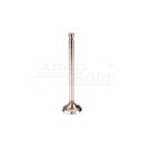 Exhaust valve