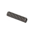 Valve spring