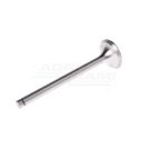 Exhaust valve