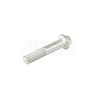 SCREW M18X95 54210363