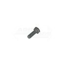 Screw M10x30 DIN933 54210663