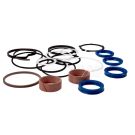 Steering cylinder repair kit b74700 B53391