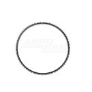 Flywheel rim 21/15-10 fi-365 mm