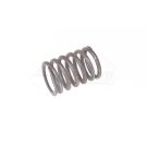 Valve spring