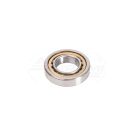 Bearing B55568, Dimensions: 80x49.97mm