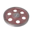 DP-250 pulley