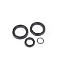 Set of loader seals NUJN-100,00.1001A