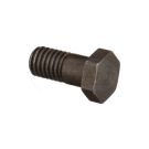 Banjo screw