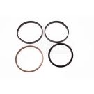 Set of lifter piston seals