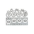 Standard engine head gasket set