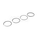 Set of rings.Fi-100.50mm