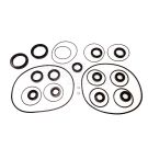 Front axle housing seal kit