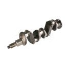 Crankshaft.20/1-65, B39953