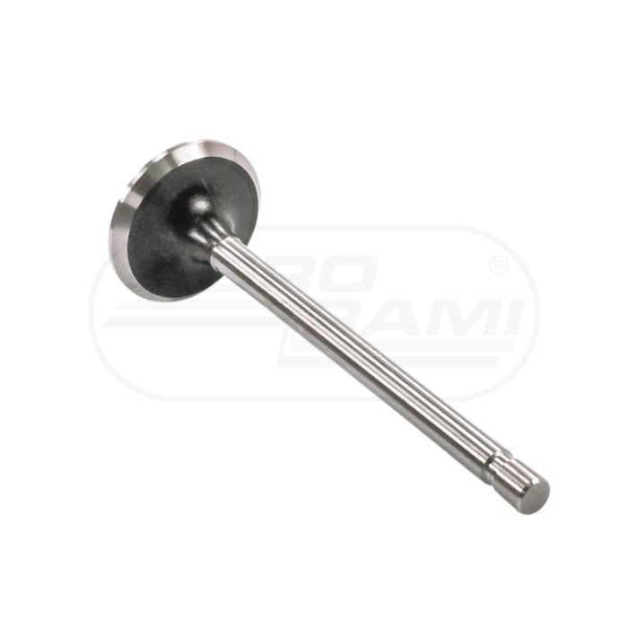Intake valve PWLA001-S-0-0