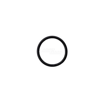 SAMOTESNIACI PRSTEŇ D