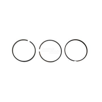 Motor s pístním kroužkem